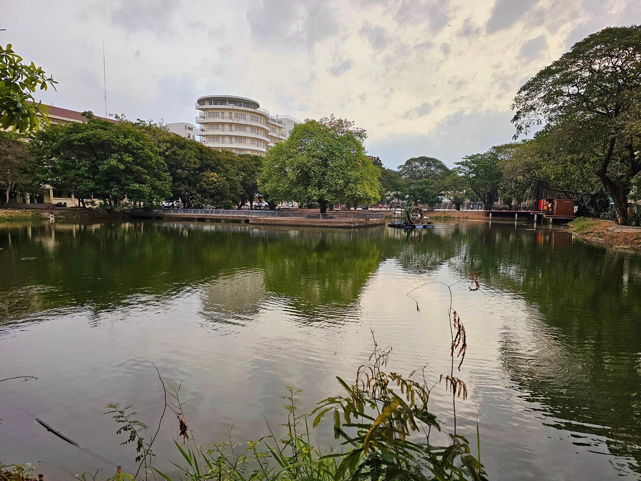 Department of Higher Education Management